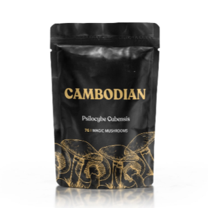 Cambodian – Magic Mushrooms