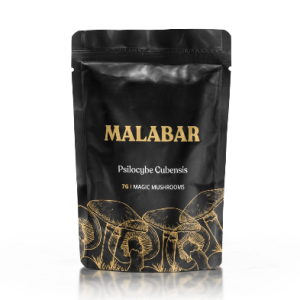Malabar – Magic Mushrooms